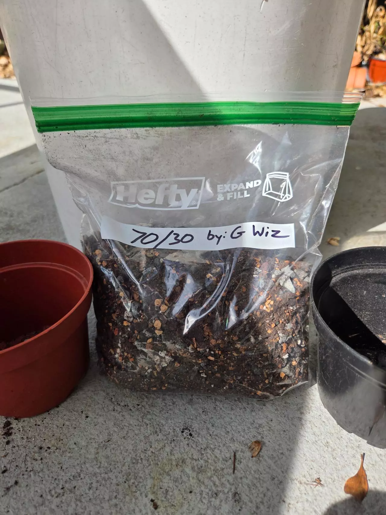 plant/70/30 by: G Wiz 🧙‍♂️-0