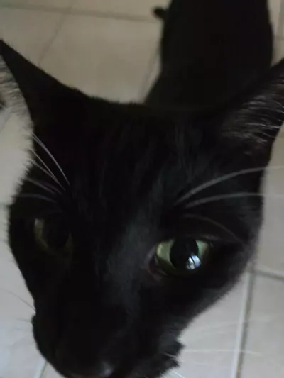 plant/Personalized Custom Soil Blend 🏺🪨-1-thumbnail