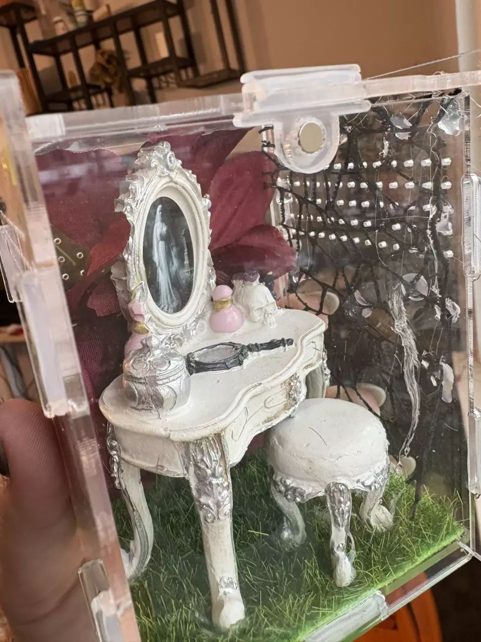 plant/Imperfect spooky vanity jumping spider enclosure-1