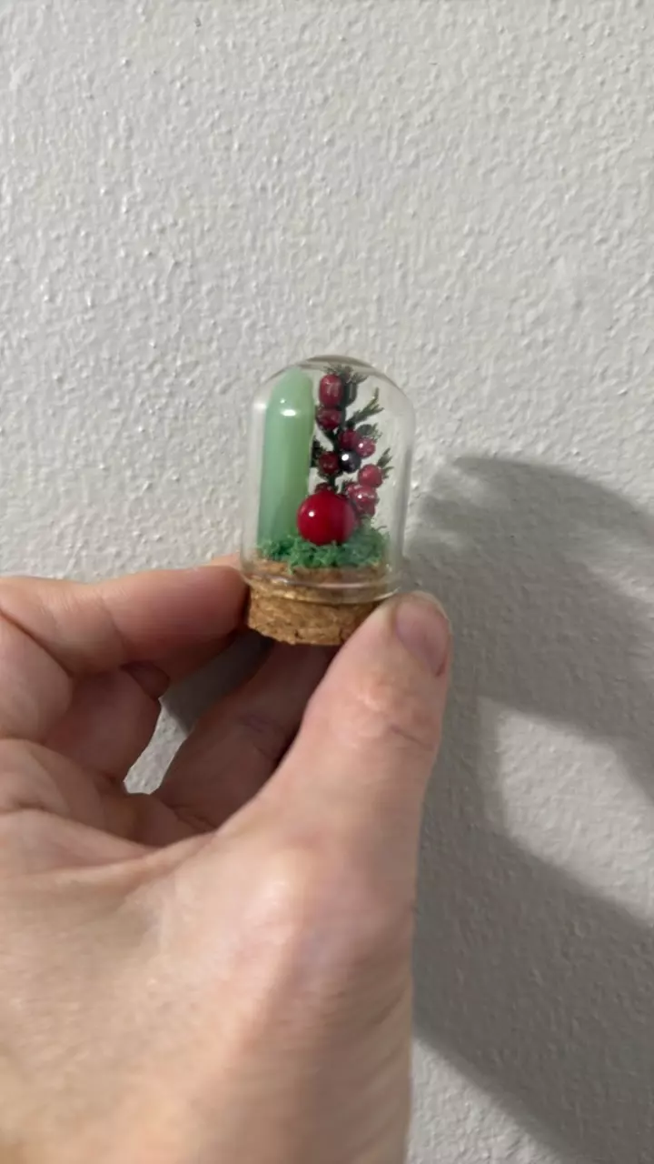 plant/Mini Christmas Cloche 2-1