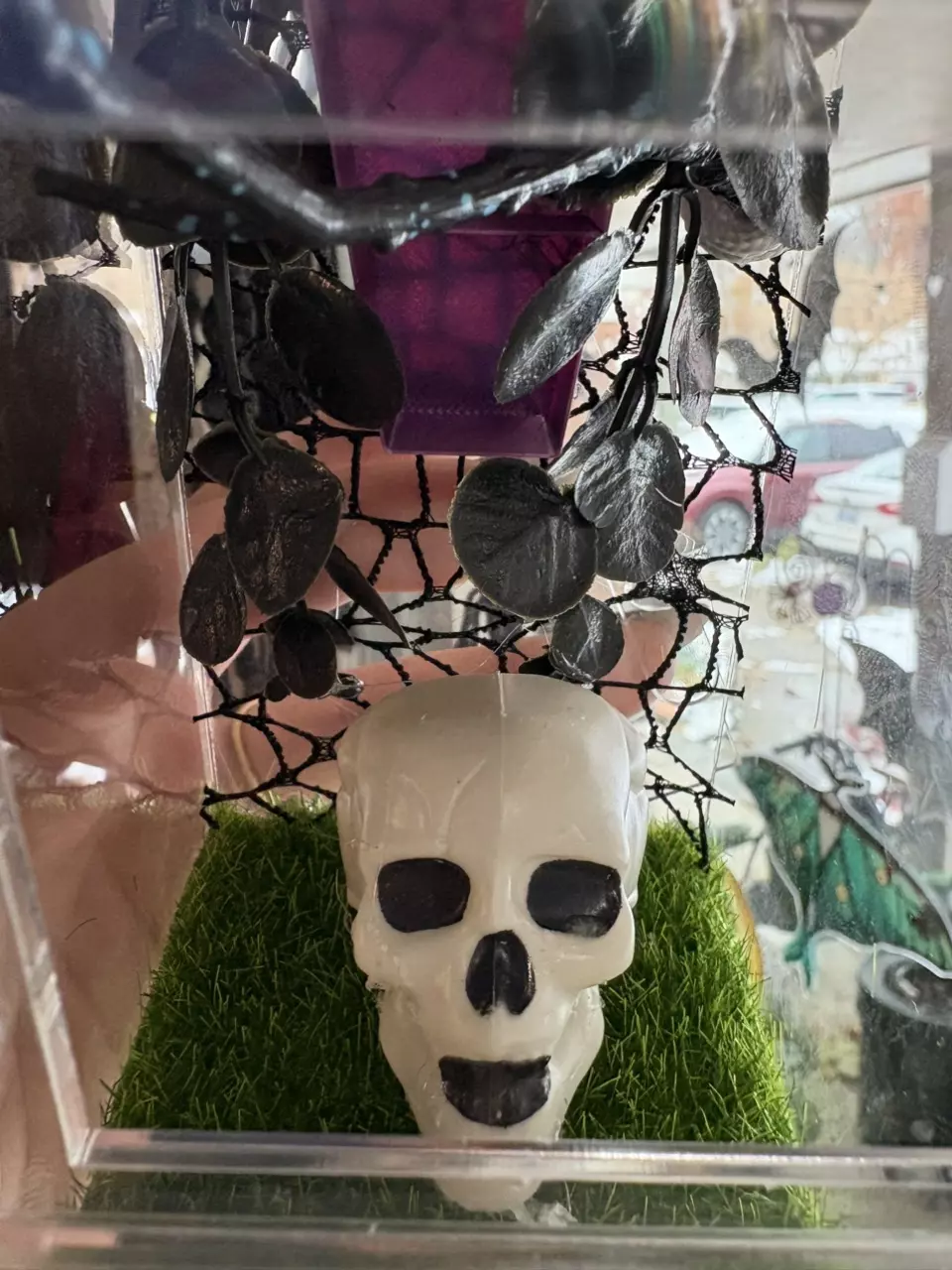 plant/Spooky themed jumping spider enclosure, juvie size.-1