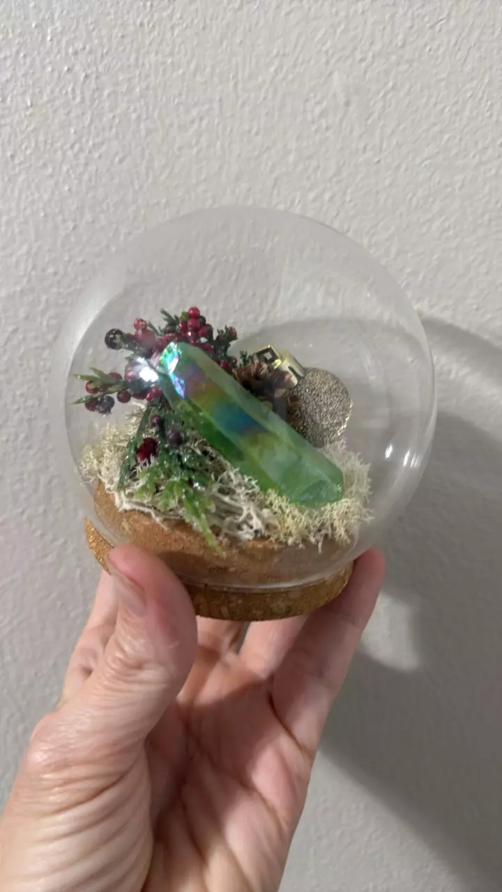 plant/Christmas dome glass cloche-2