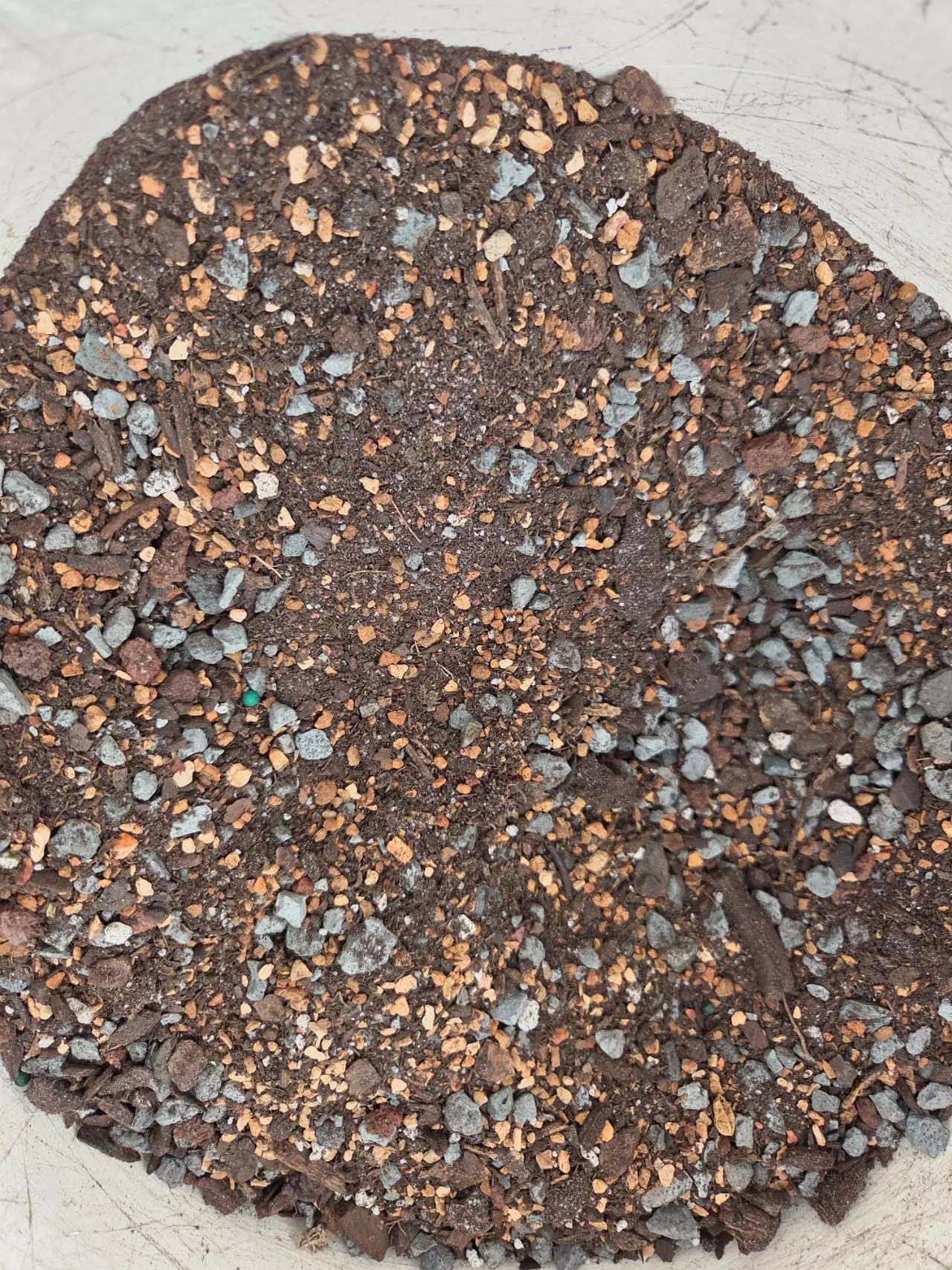 plant/70/30 by: G Wiz 🧙‍♂️-1