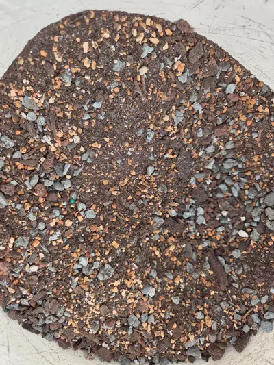 plant/70/30 by: G Wiz 🧙‍♂️-1-thumbnail