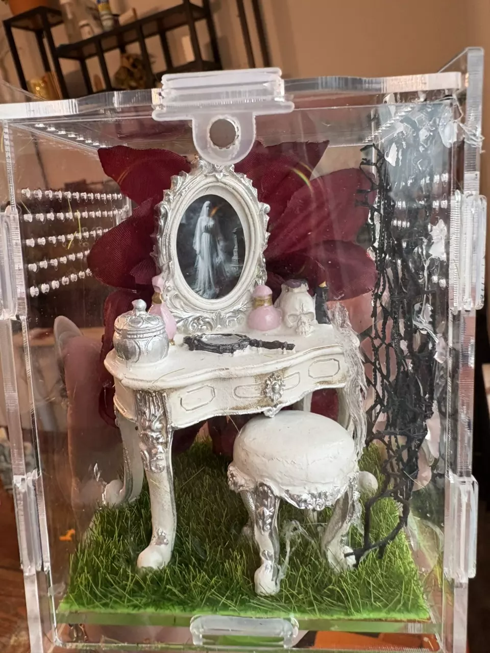 plant/Imperfect spooky vanity jumping spider enclosure-0