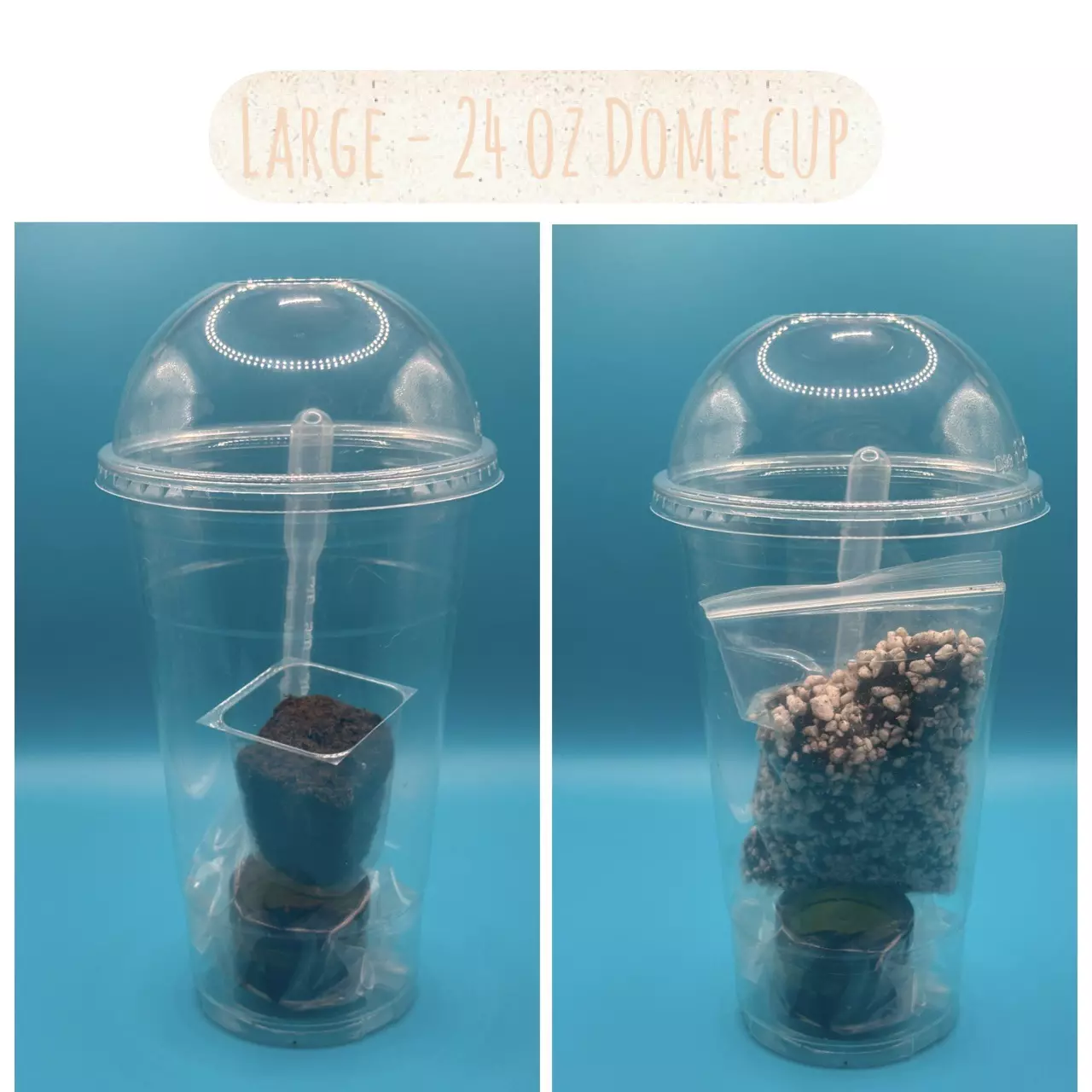 plant/Tissue Culture Acclimation Kit- Large-0