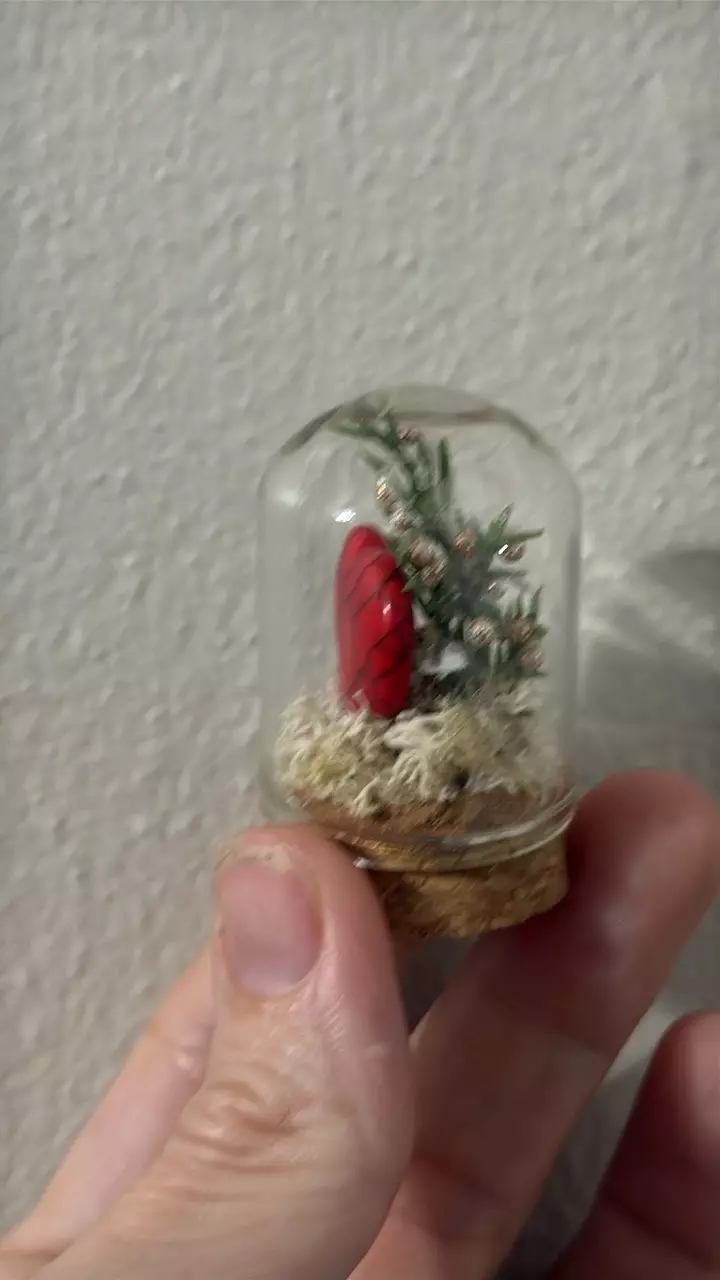 plant/Christmas Cloche 1-1
