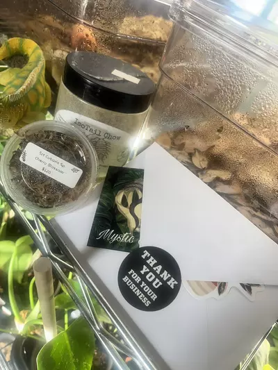 shipping_upgrade/Over Night Shipping add on!-0-thumbnail