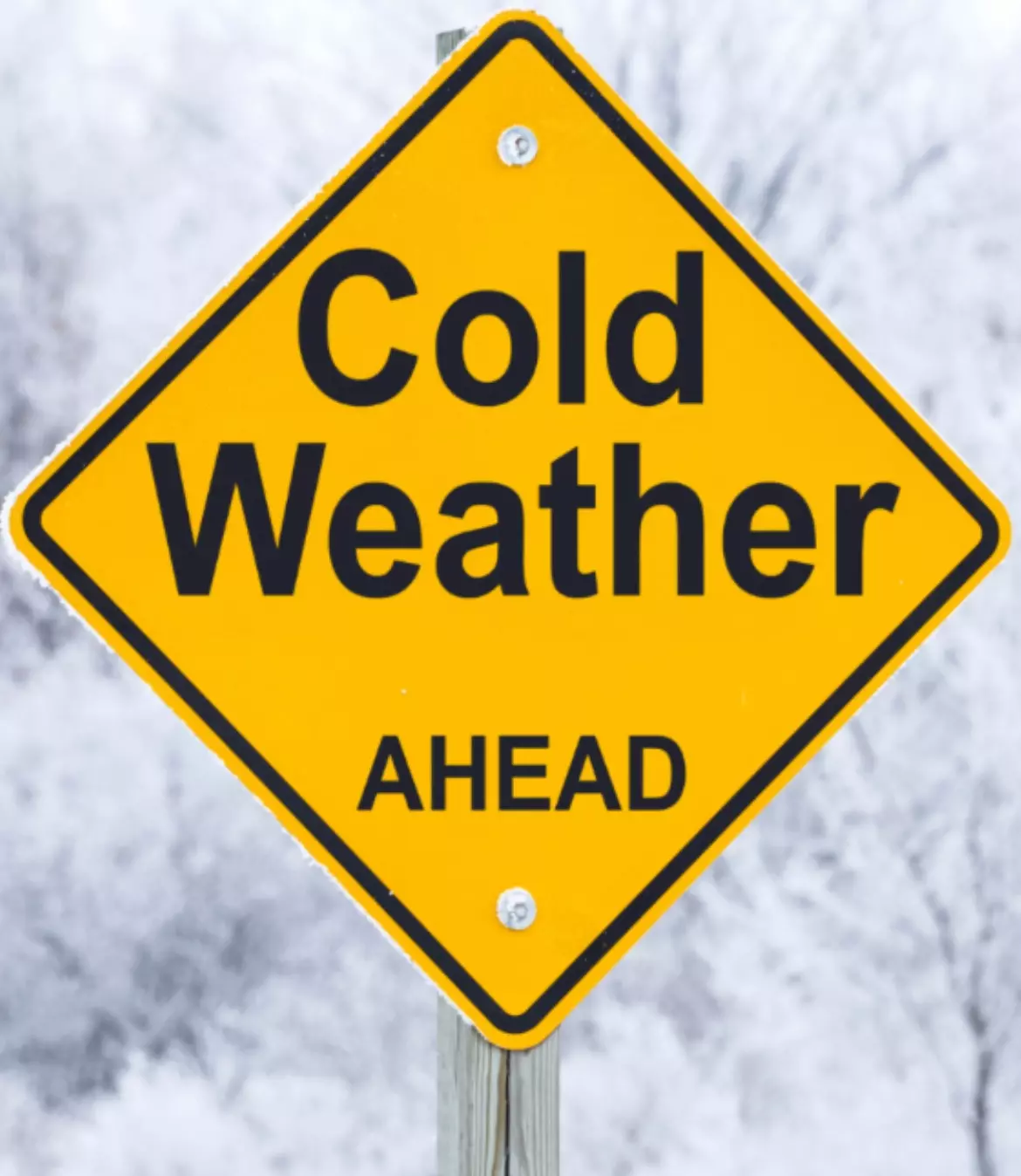 insulation/Cold weather protection <50 degrees-0