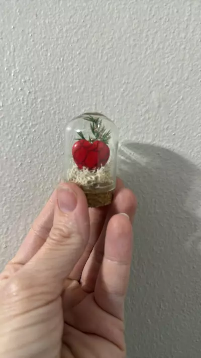 plant/Christmas Cloche 1-0-thumbnail