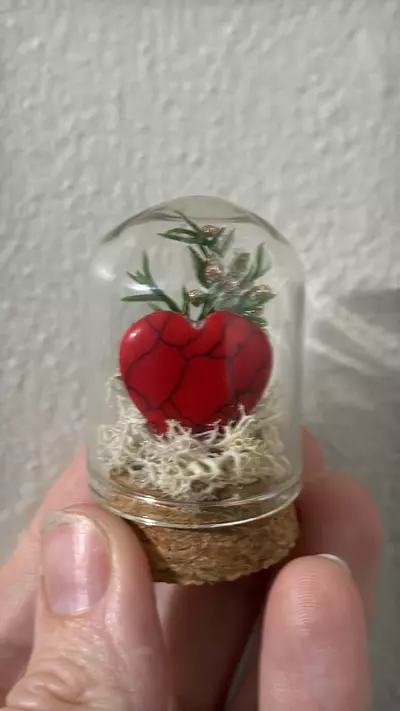plant/Christmas Cloche 1-2-thumbnail