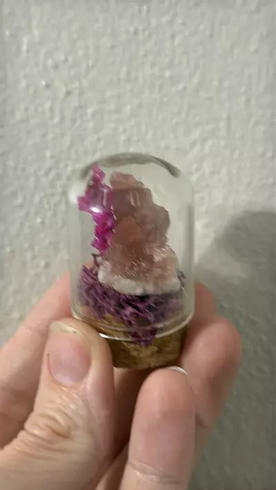 plant/Pink amethyst mini cloche-0-thumbnail