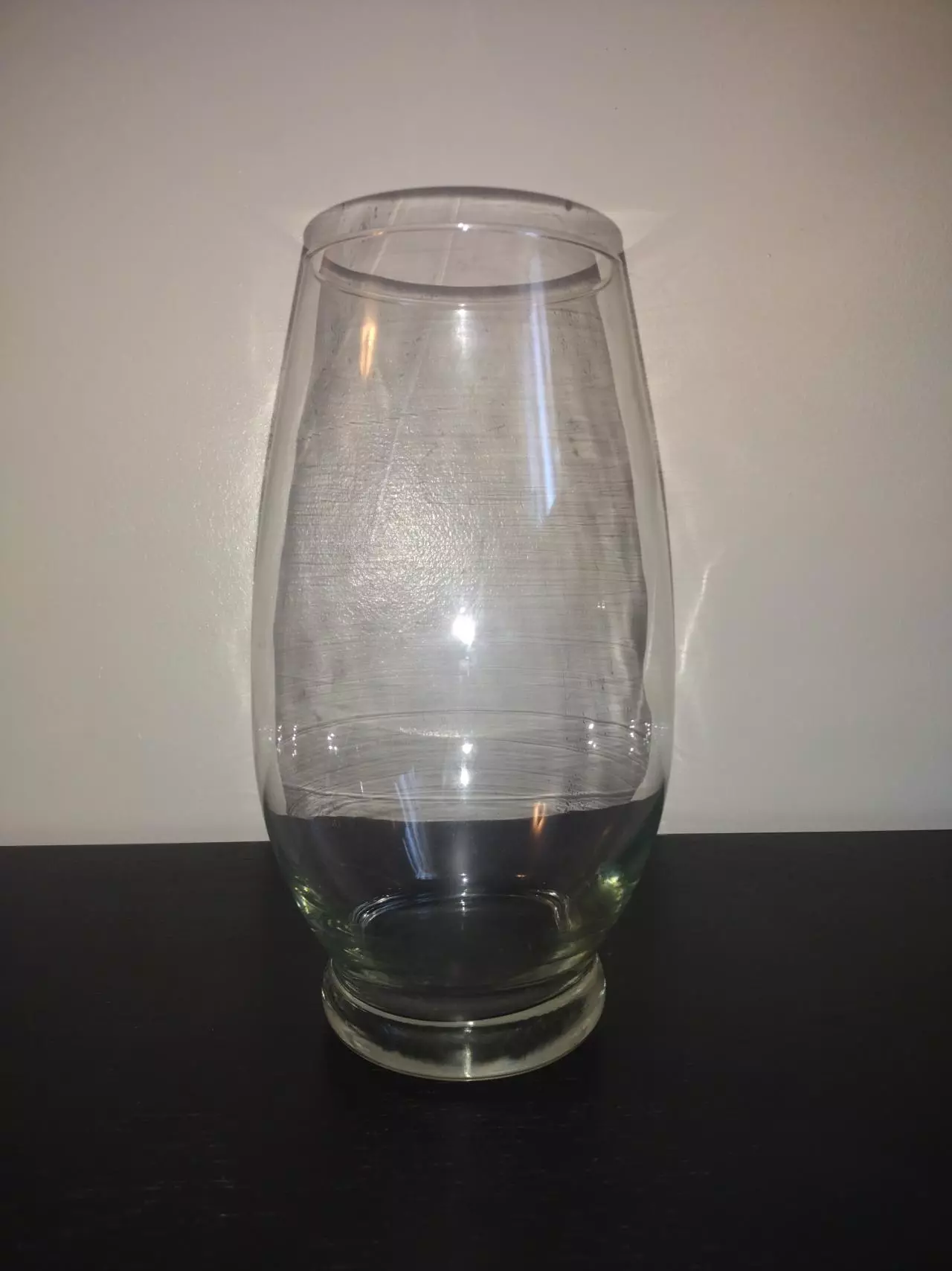 plant/Glass Vase-1