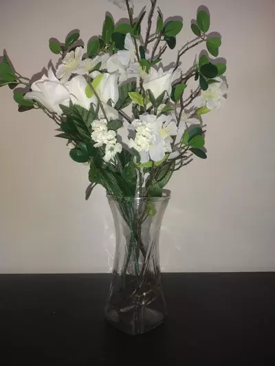 plant/Glass Vase-0-thumbnail