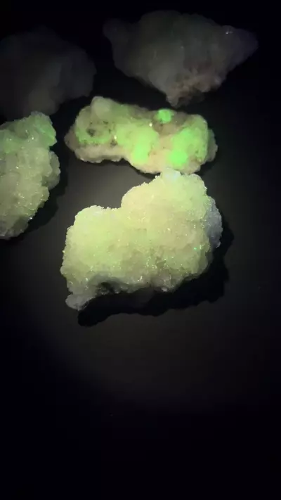 plant/UV Reactive Selenite Clusters-2-thumbnail