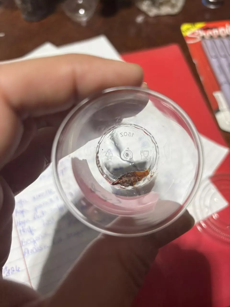 plant/#225 Alocasia Pink Dragon Albo Corm-0