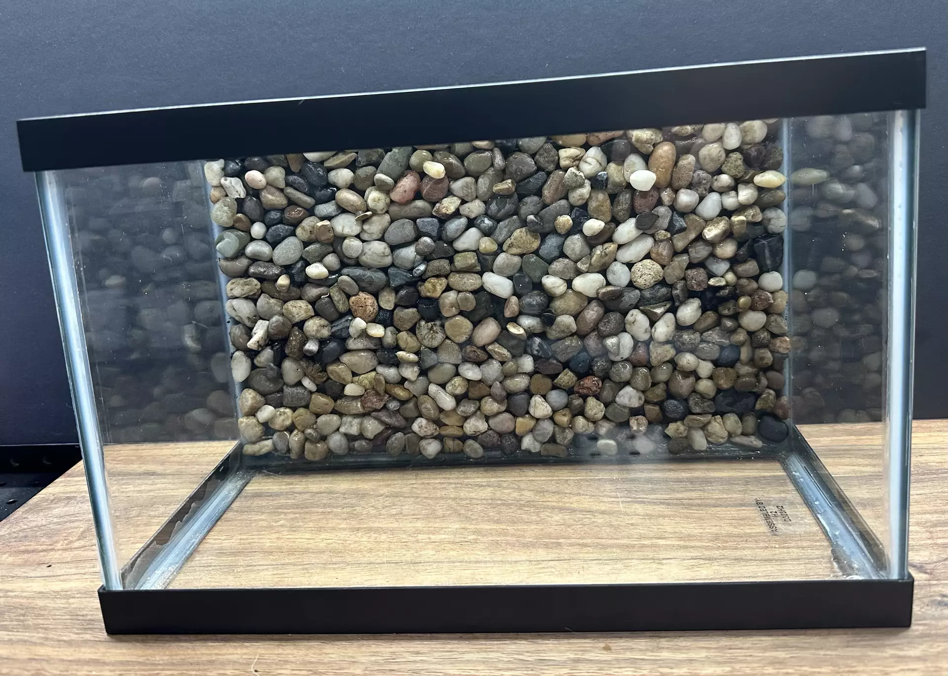 plant/Rock Wall Vivarium Build-0
