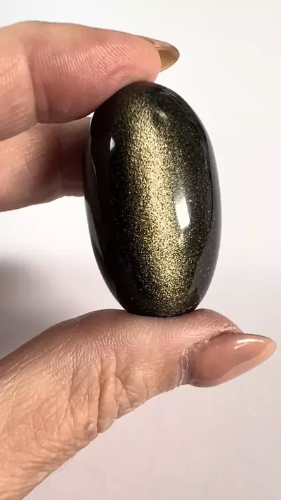 plant/Gold Sheen Obsidian Shiva Stones-2-thumbnail