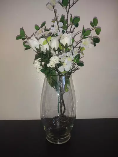 plant/Glass Vase-0-thumbnail