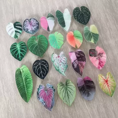 plant/4 pieces-0-thumbnail