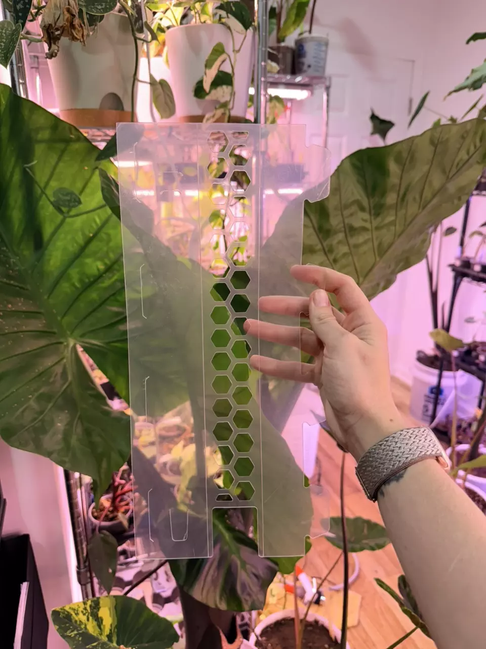 plant/Moss pole 14in-0