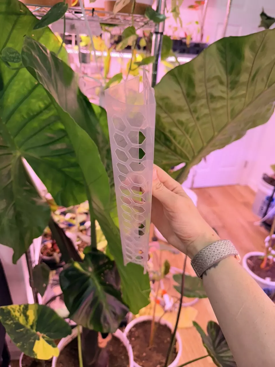 plant/Moss pole 14in-1