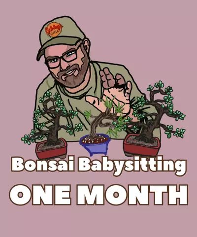 plant/Bonsai Babysitting - One Month (per tree)-0-thumbnail