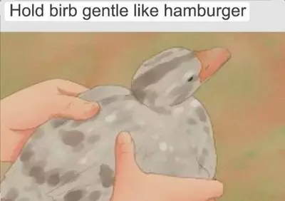 free_shipping/Hold my order-0-thumbnail