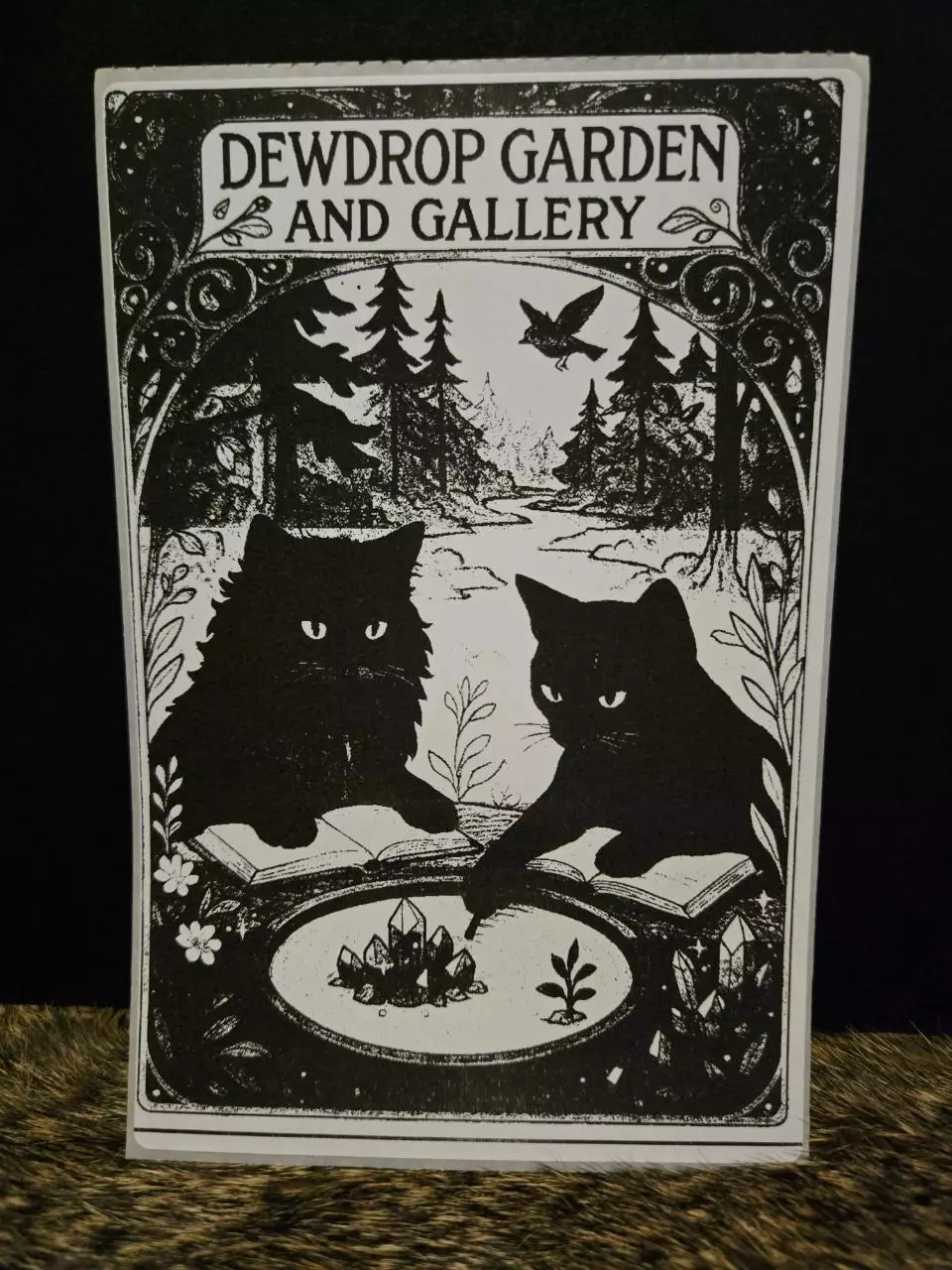 plant/Large✨️collectable cat sticker 🐦(bird zen)-0