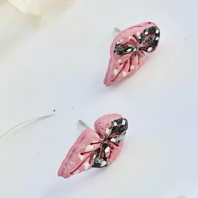 plant/Begonia Maculata Studs-0-thumbnail