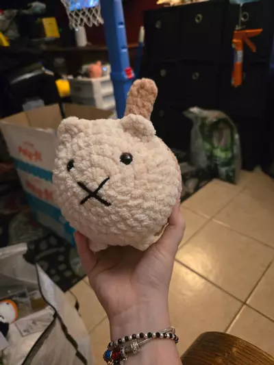 plant/Two tone cream/light brown loaf cat 🐈-1-thumbnail