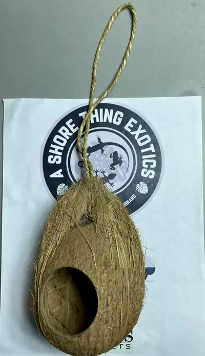 plant/Hanging Hut-0-thumbnail