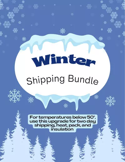 free_shipping/Winter Shipping Bundle-0-thumbnail