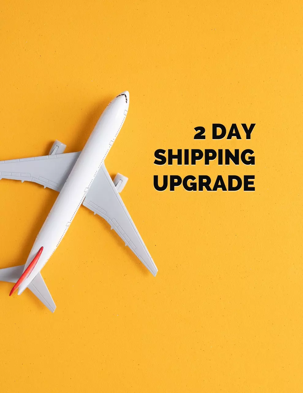 plant/2 Day Shipping Upgrade-0