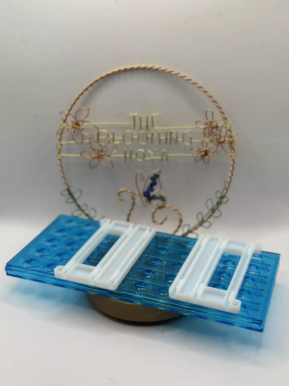 plant/Propagation Vial Holder (50 holes)-1