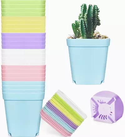 free_shipping/3” Plastic Pot w/ Tray-0-thumbnail