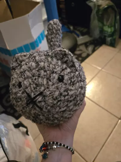 plant/Tabby loaf cat 🐈‍⬛️-0-thumbnail