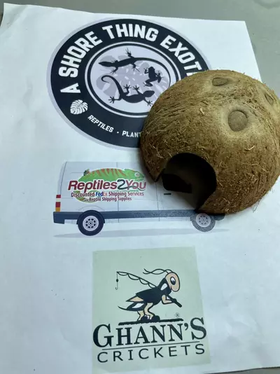 plant/Cocohut-0-thumbnail