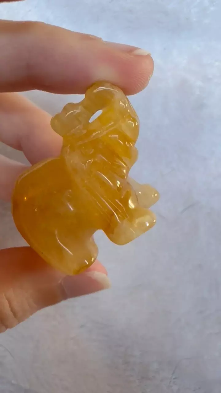 plant/Golden healer-0