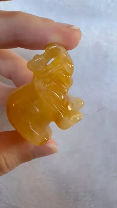 plant/Golden healer-0-thumbnail