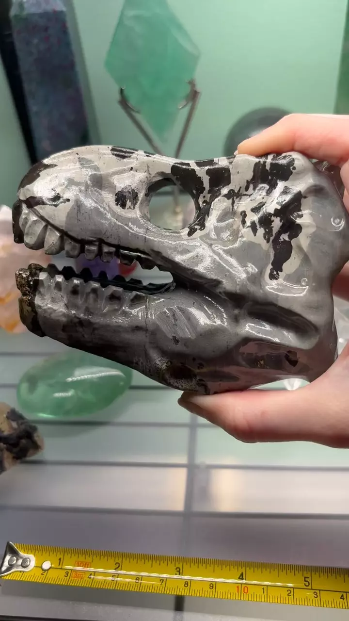 plant/Picture jasper Dino skull-0