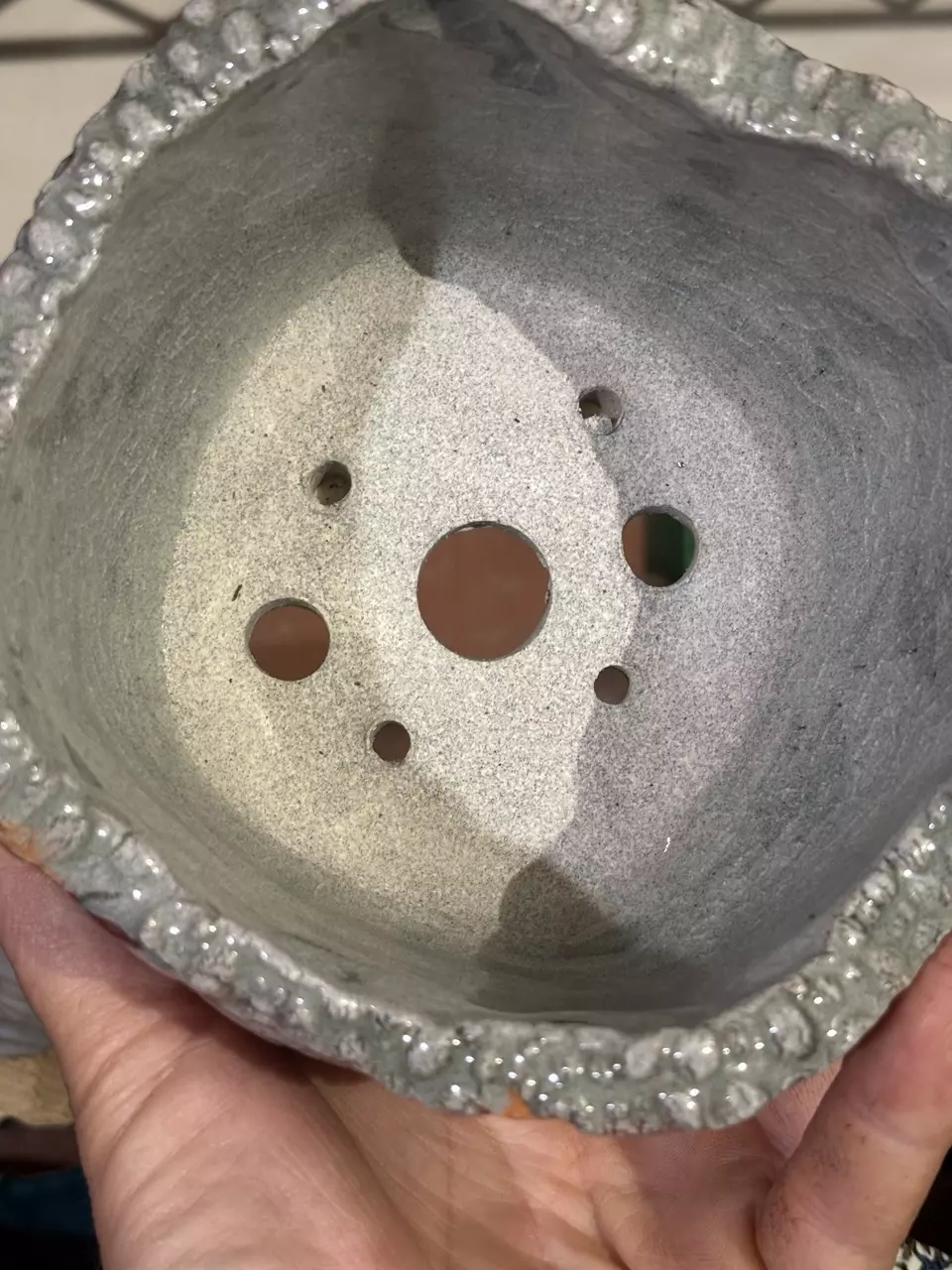 plant/Hibiscus Pot-3