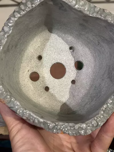 plant/Hibiscus Pot-3-thumbnail