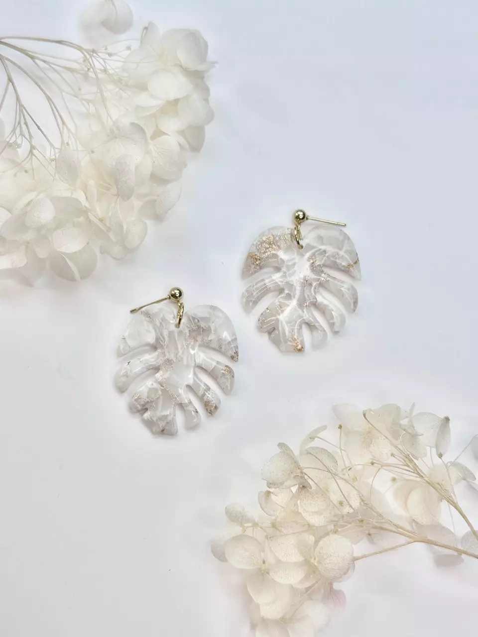 plant/White Marble Monstera-0