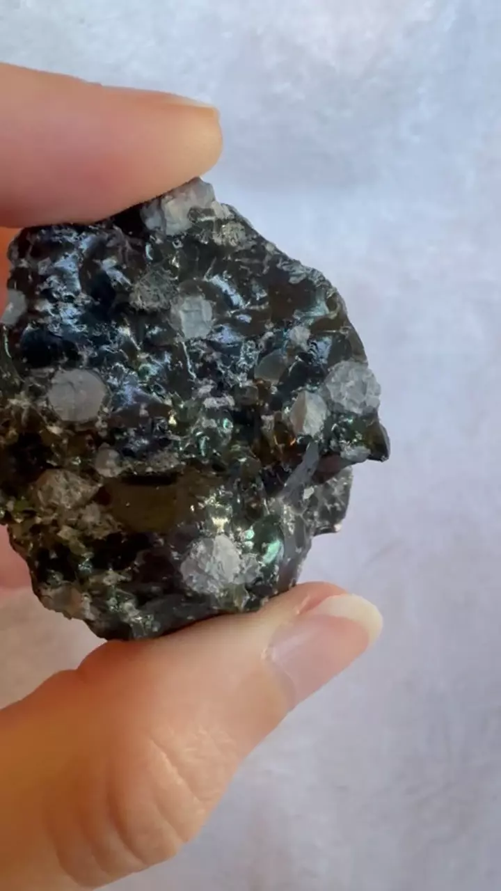 plant/Snowflake obsidian-0