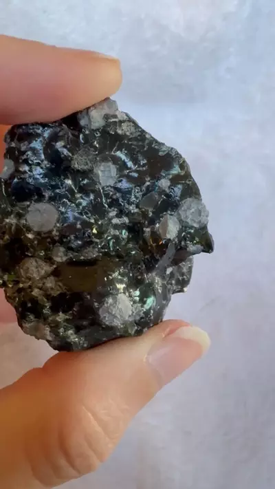 plant/Snowflake obsidian-0-thumbnail