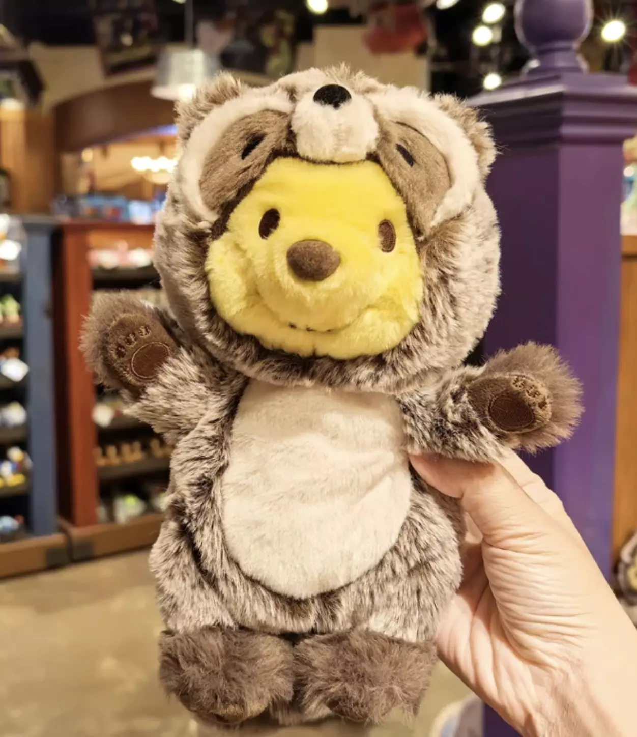 plant/Limited Edition Shanghai Disney Raccon Winnie Pen Bag-0