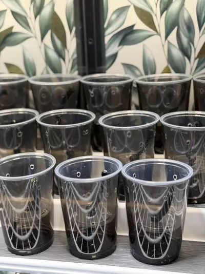 plant/Set of 12 Self Watering Pup Cups!! 🖤❤️🖤5.5 oz inner cup-2-thumbnail