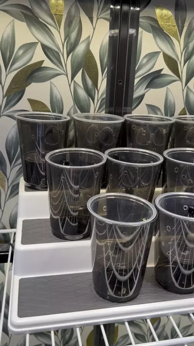 plant/Set of 12 Self Watering Pup Cups!! 🖤❤️🖤5.5 oz inner cup-1-thumbnail