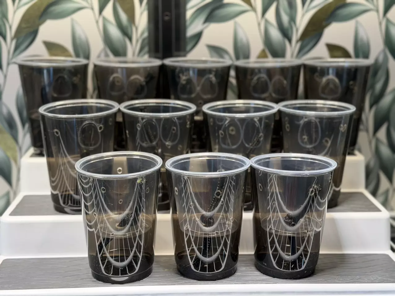 plant/Set of 12 Self Watering Pup Cups!! 🖤❤️🖤5.5 oz inner cup-0